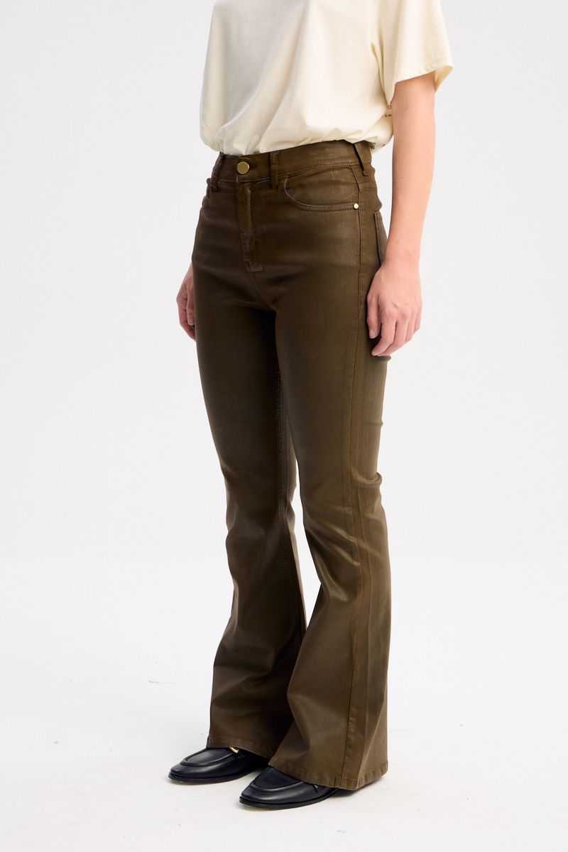 JEAN SKINNY FLARE STONES