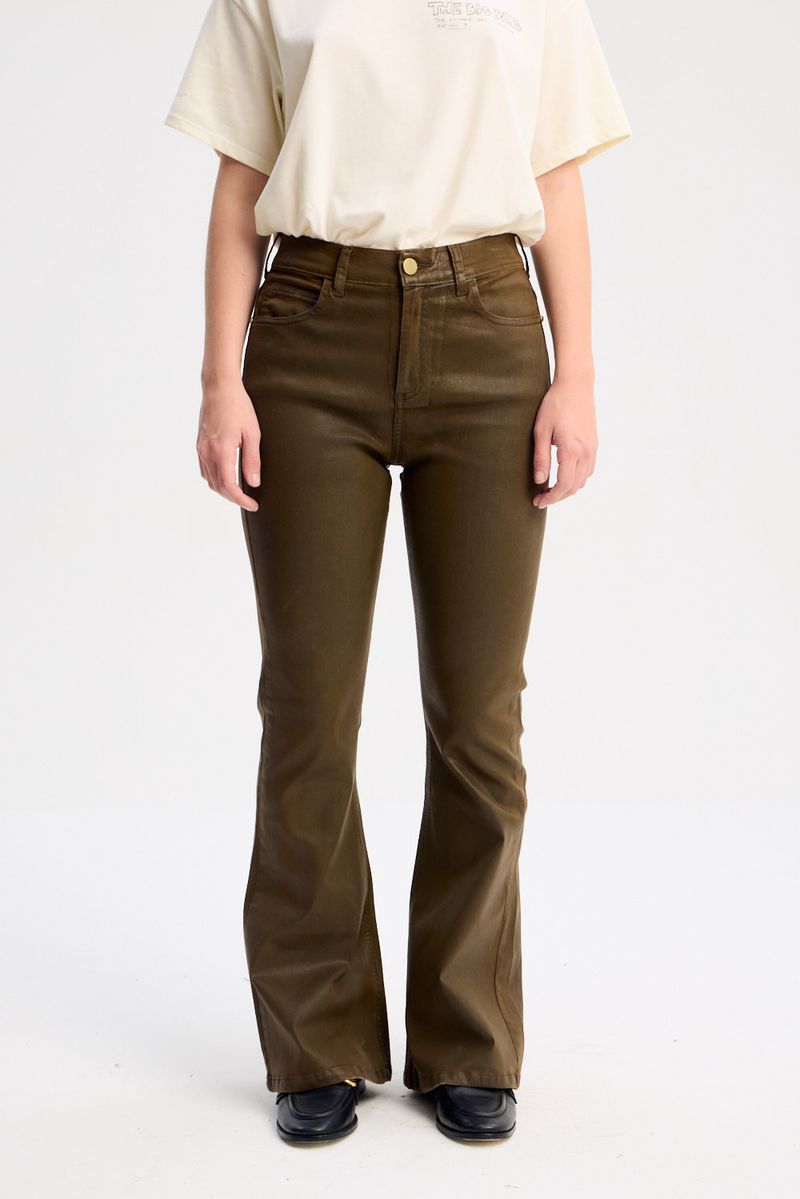 JEAN SKINNY FLARE STONES