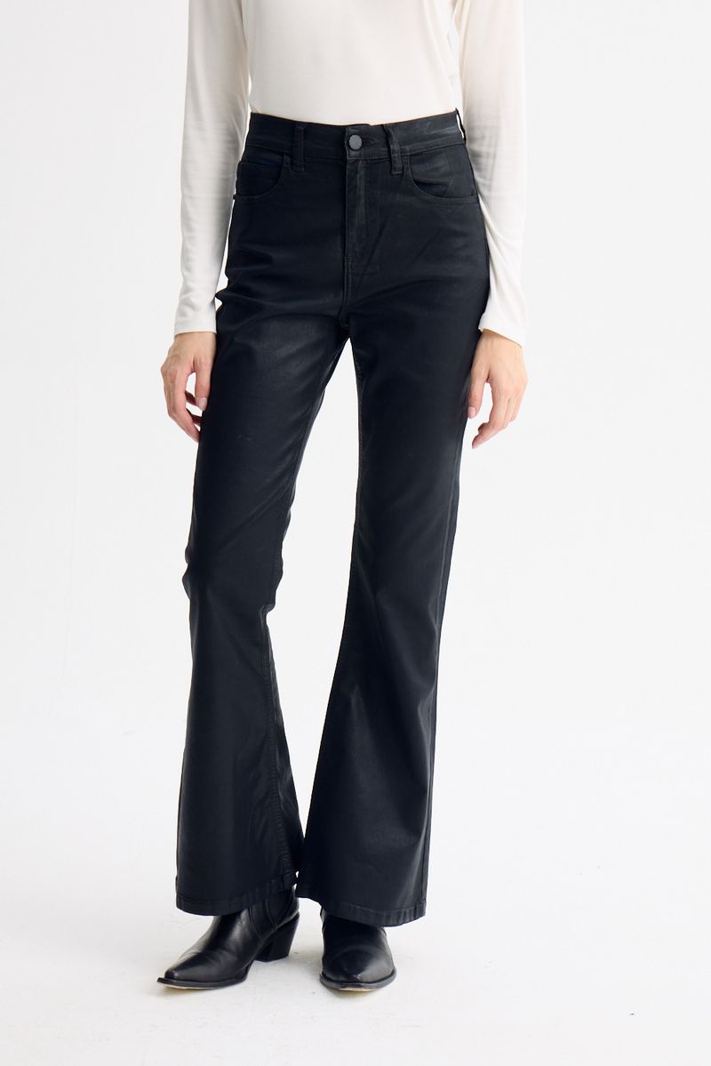 JEAN SKINNY FLARE STONES