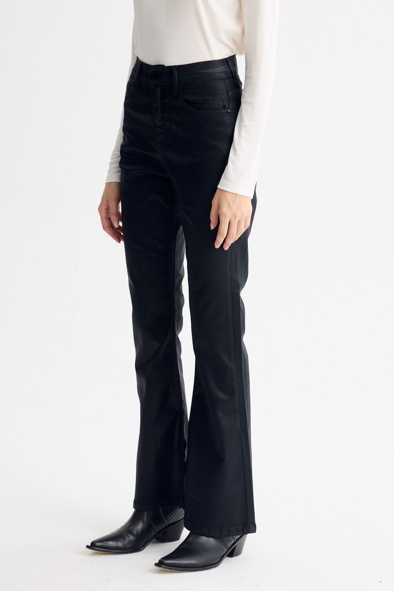 JEAN SKINNY FLARE STONES