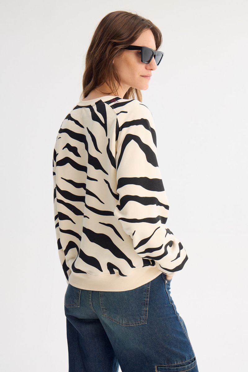 BUZO ZEBRA
