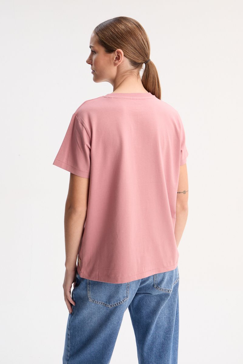 REMERA BCI